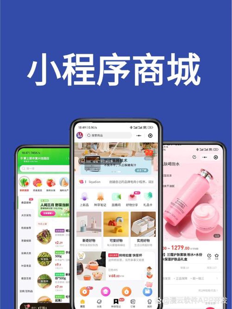 软件定制开发：企业信息化的加速引擎